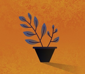 Greening of homes